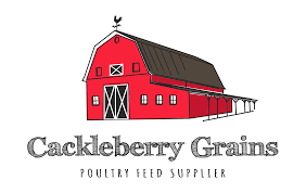 Cackleberry Grains